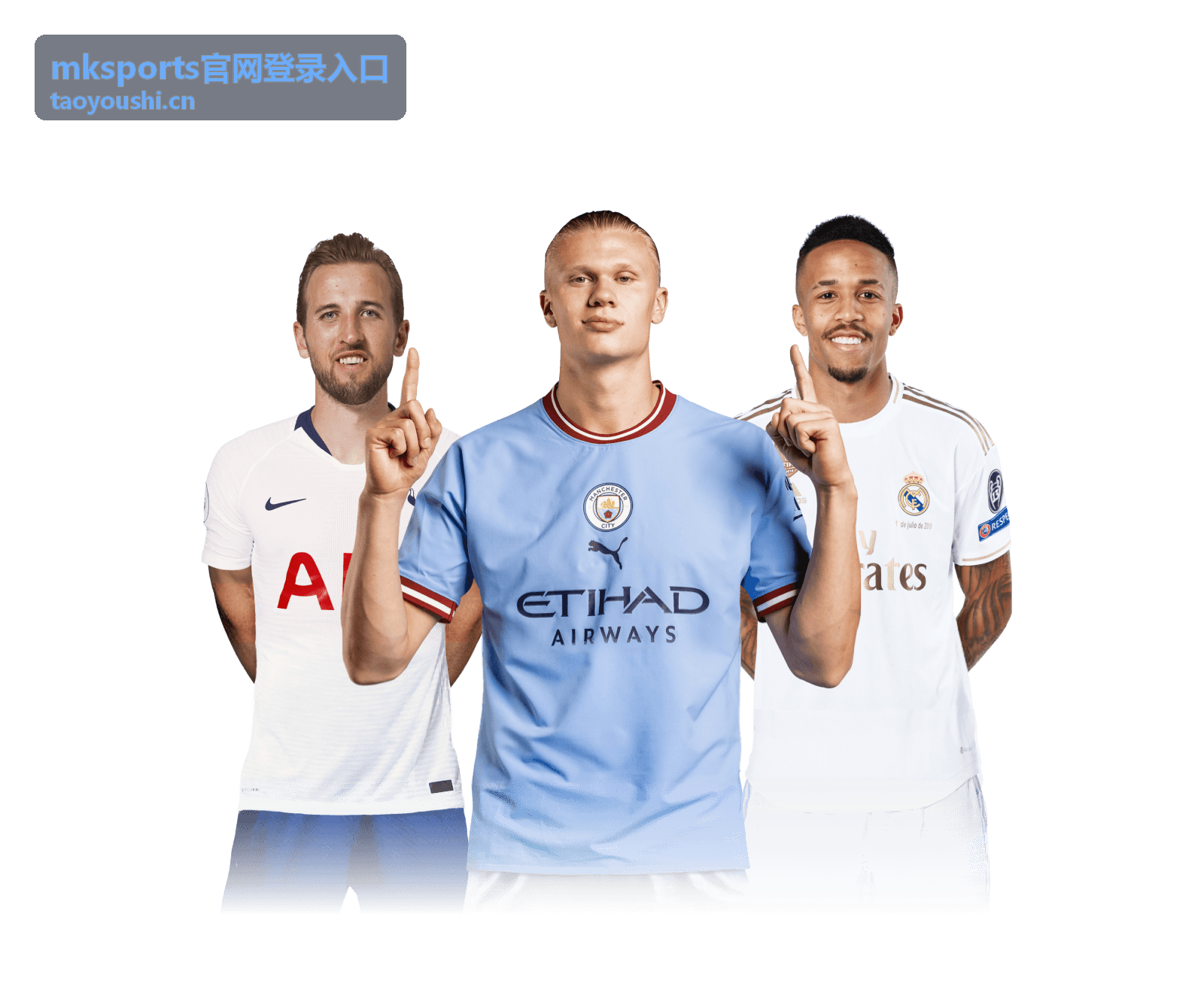 mksports官网登录入口登录流程示意界面