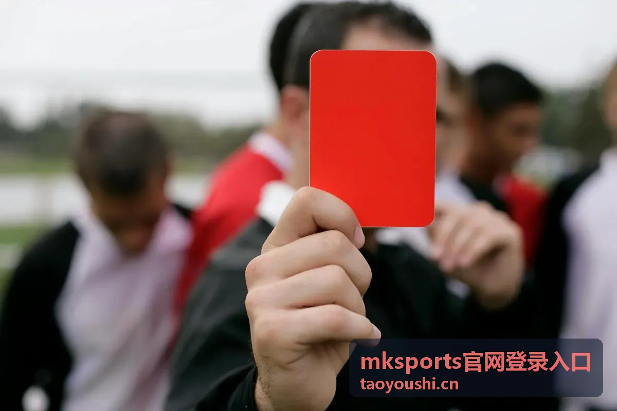 mksports官网登录入口账号验证与设备确认示意