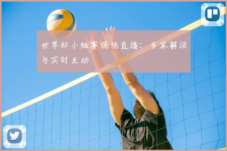 世界杯小组赛现场直播:专家解读与实时互动