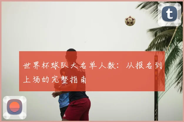 世界杯球队大名单人数:从报名到上场的完整指南