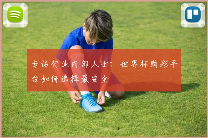 专访行业内部人士:世界杯购彩平台如何选择最安全