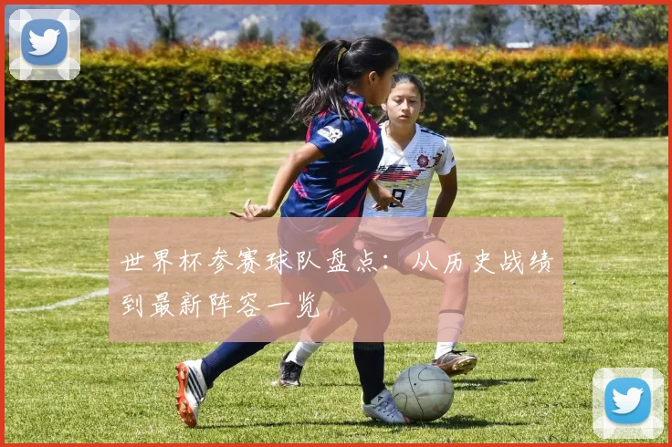 世界杯参赛球队盘点:从历史战绩到最新阵容一览