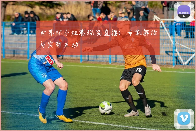 世界杯小组赛现场直播:专家解读与实时互动